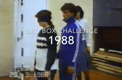 Bird Box Mask Challenge